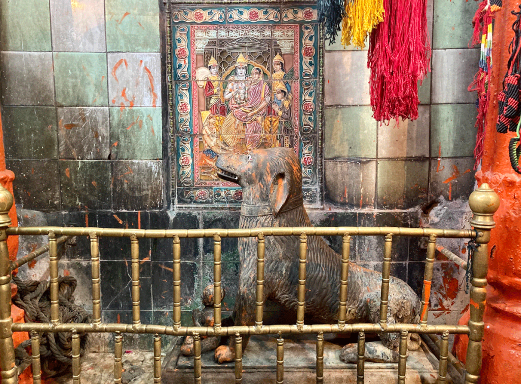 Dog of Kaal Bhairav in Kaal Bhairav Temple varanasi