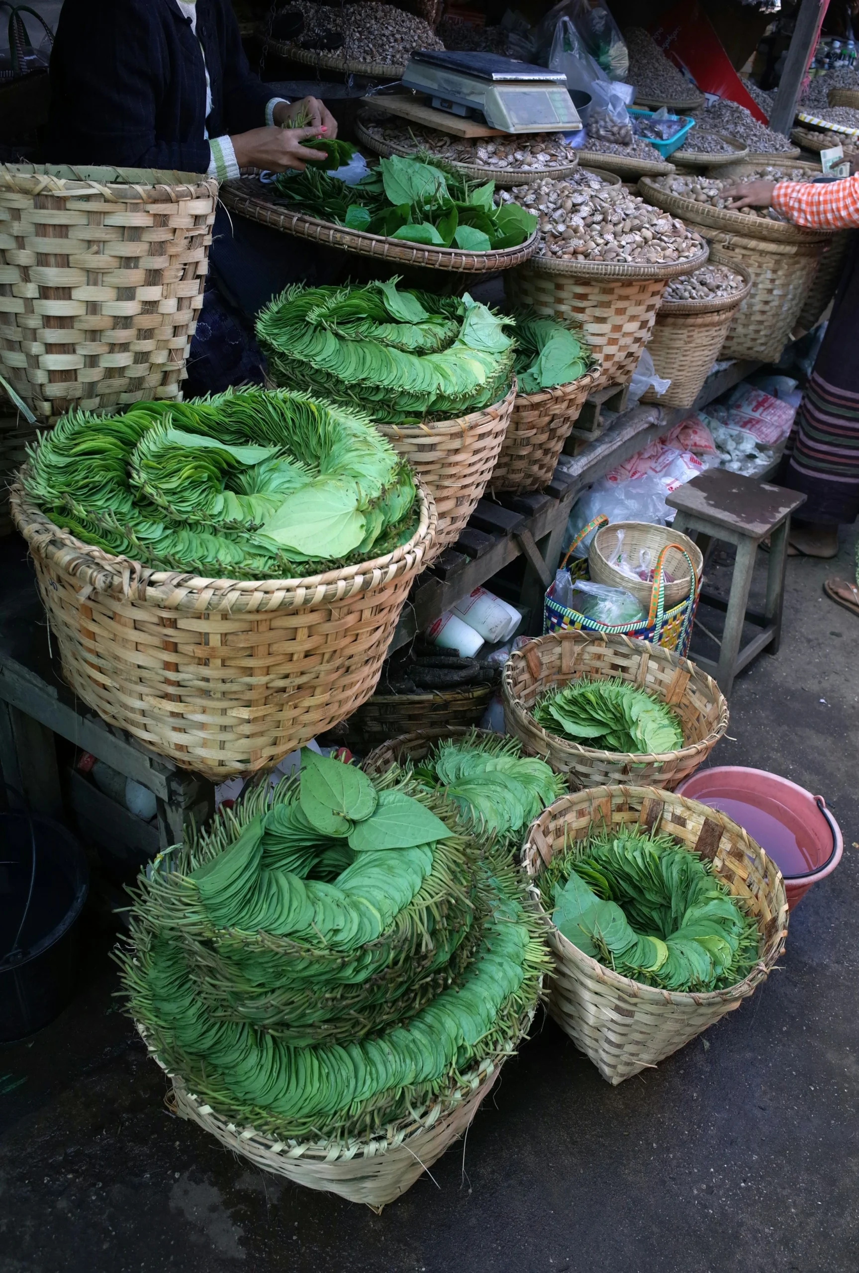 Art of Making Banarasi Paan Varanasi